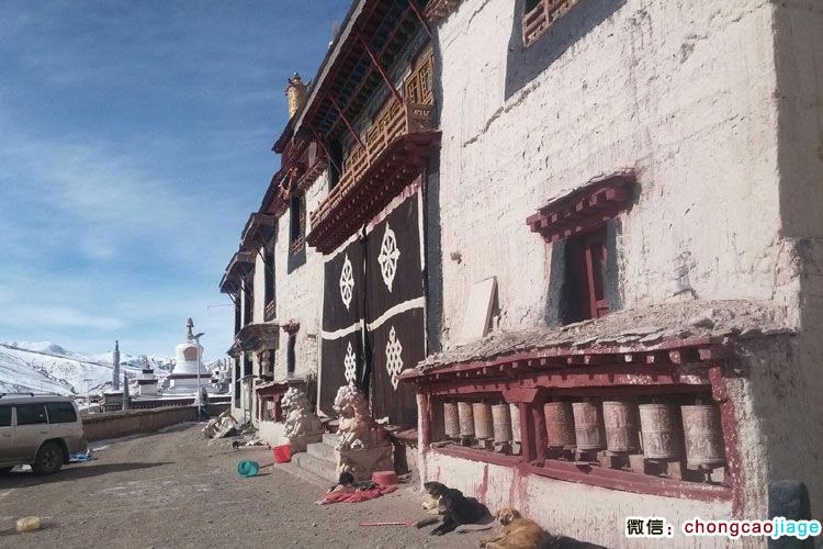 請輸入圖片描述