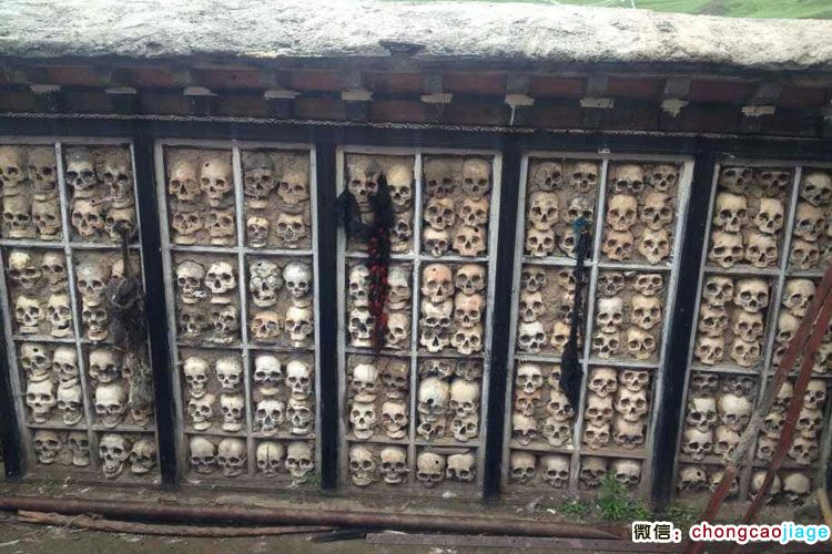 請輸入圖片描述