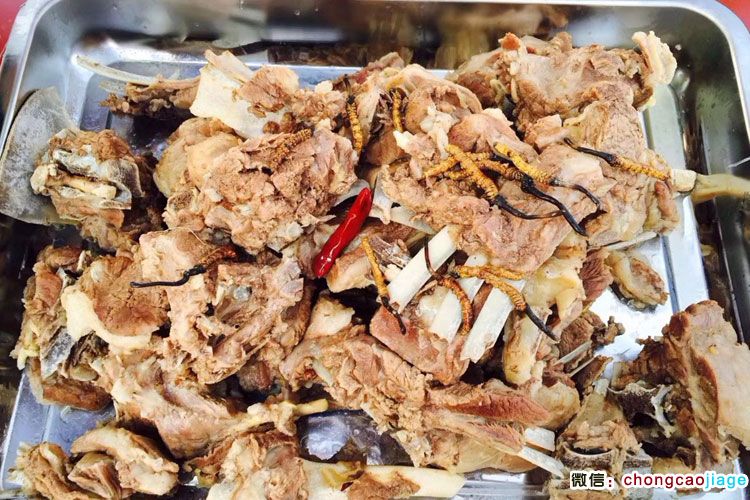 羊肉燉冬蟲夏草