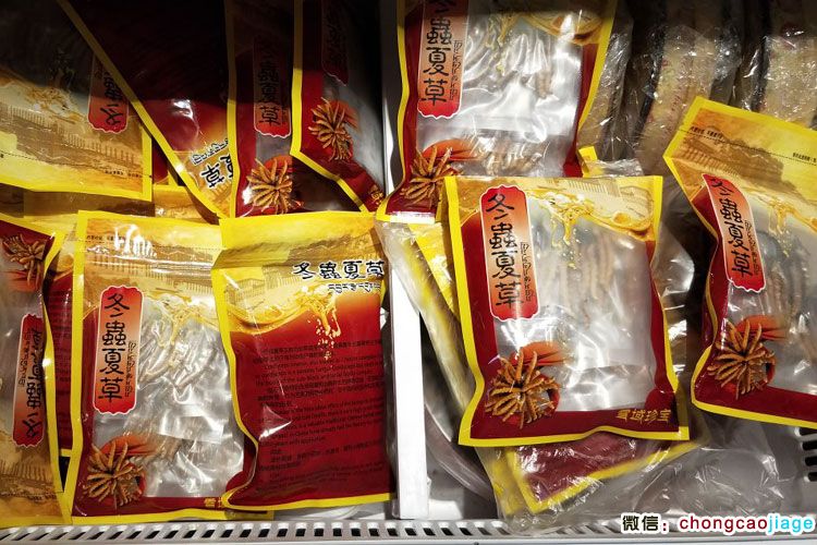 冬蟲夏草中英文包裝