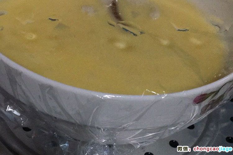 冬蟲夏草蒸雞蛋圖片