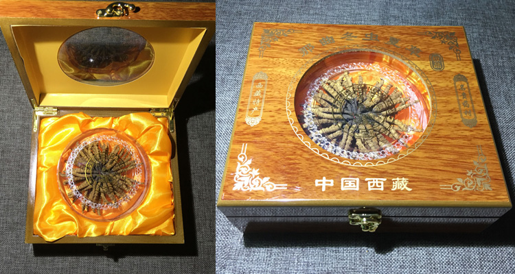 20克蟲草禮盒圖片