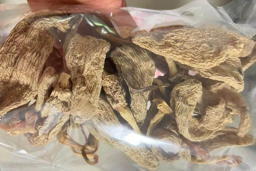 野生天麻干品圖片