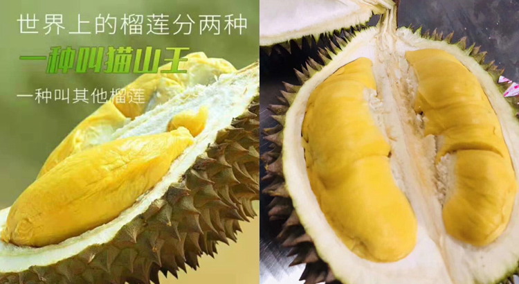 貓山王榴蓮果肉圖片