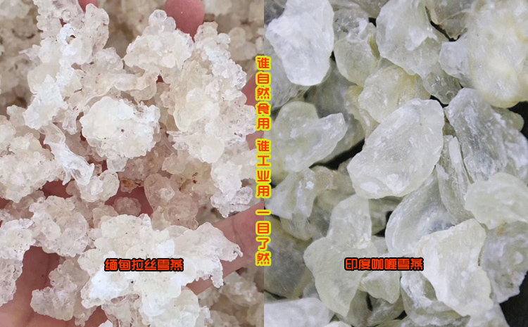 請(qǐng)輸入圖片描述