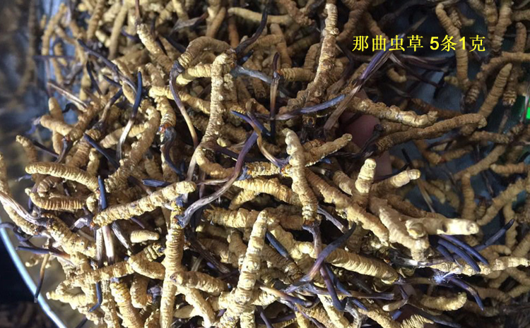 請輸入圖片描述