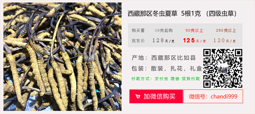 5根1克那區冬蟲夏草的價格