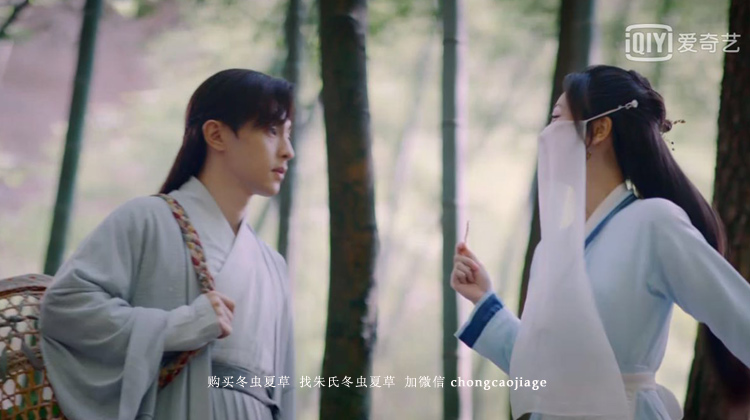 購買冬蟲夏草推薦