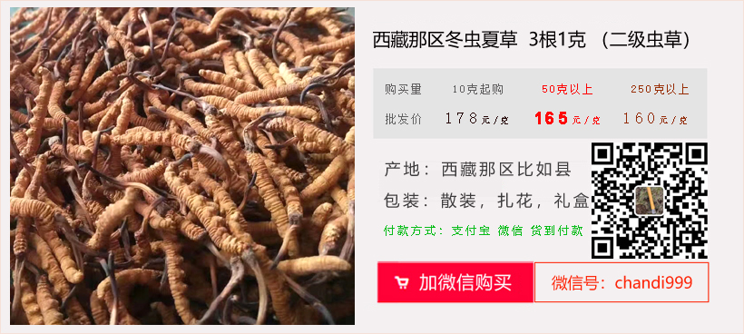 那區冬蟲夏草3條1克的價格