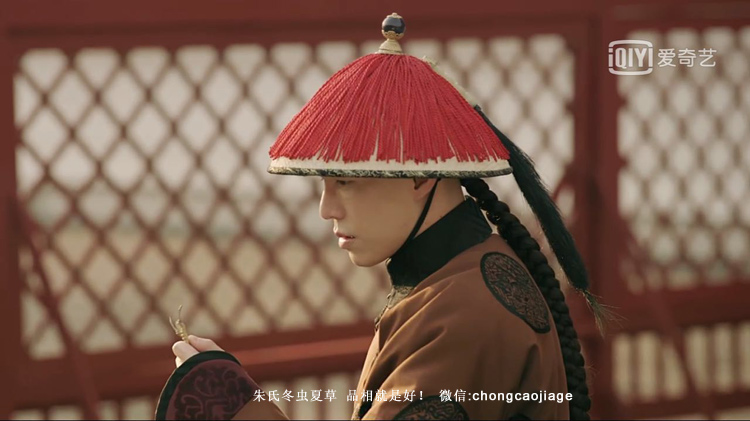 手持冬蟲夏草圖片