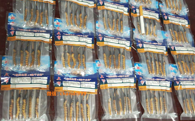 山南新鮮蟲草圖片