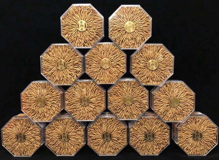 珍御品冬蟲夏草月餅圖片