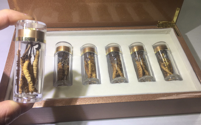 凍干冬蟲夏草7克禮盒裝