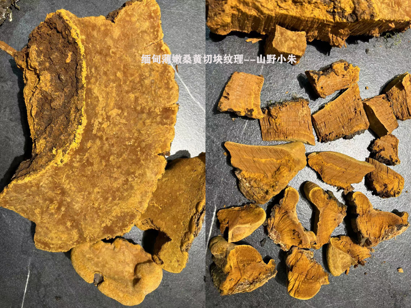 藏南桑黃切塊圖片