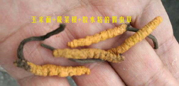 面粉做的假蟲草圖片