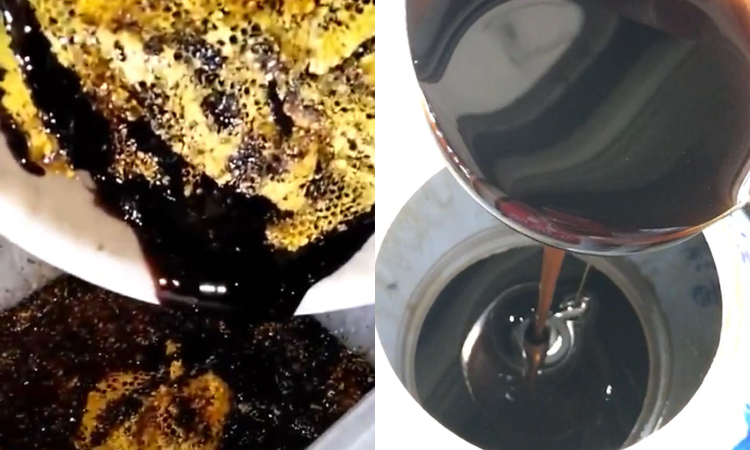 米團花黑蜂蜜圖片